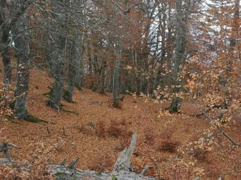 grammos-hiking-greece-πεζοπορια-4χ4-offroad.jpg6