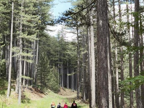 grammos-hiking-greece-πεζοπορια-4χ4-offroad