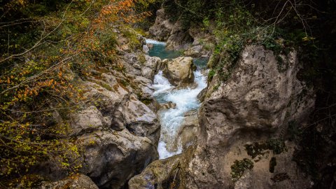 πεζοπορια-λουσιος-δημητσανα-hiking-lousios-gorge-dimitsana-greece.jpg4