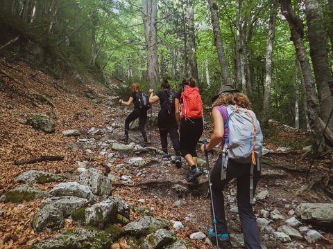 olympus-hiking-greece-πεζοπορια-ολυμπος 5.jpg1