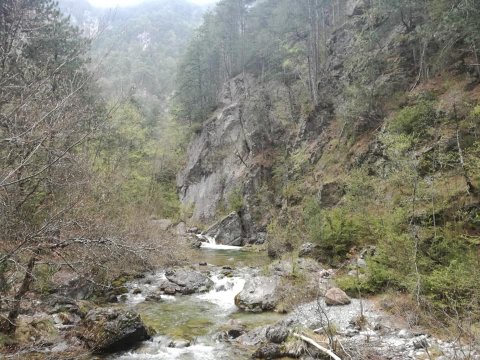 enipeas-canyon-gorge-olympus-greece-hiking-πεζοπορια.jpg3