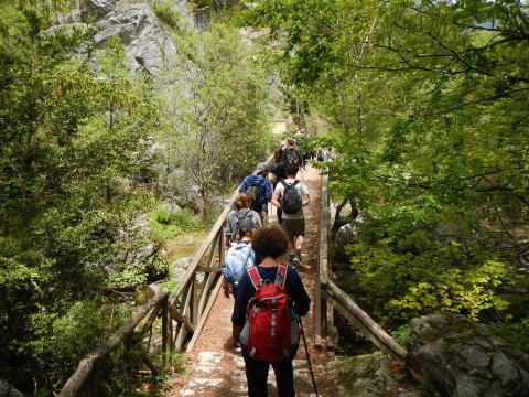 enipeas-canyon-gorge-olympus-greece-hiking-πεζοπορια