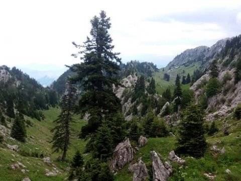 koziakas-hiking-greece-πεζοπορια-mountain-trip.jpg3