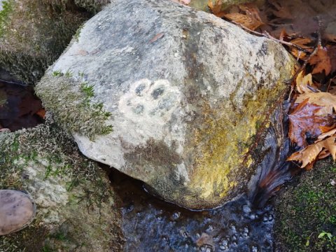 river-trekking-pelion-greece-volos-rapel (4)