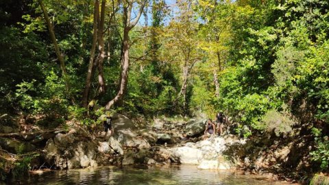 Rappel and River Trekking in Pelion