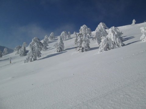 vasilitsa-ski-center-greece-lessons-μαθηματα.jpg6