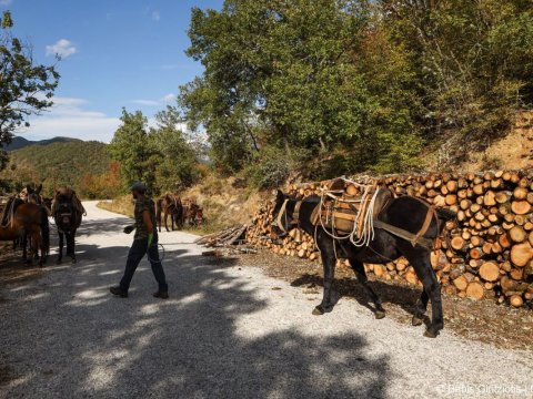 rodopi-nestos-Photographic-Road-Trip-hiking-greece-πεζοπορια-φωτογραφικο.jpg8