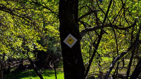 mainalo-elati-vytina-hiking-greece-πεζοπορια (4)