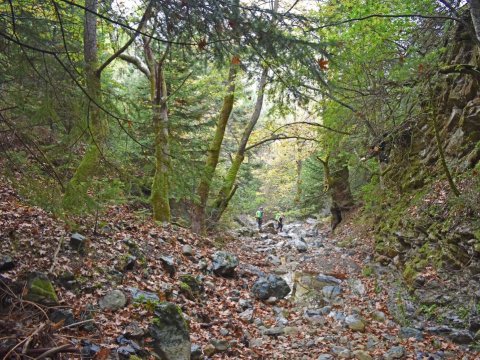 canyoing-vasilika-papades-waterfalls-greece-φαραγγι-βασιλικων-καταρρακτες-παπαδες.jpg7