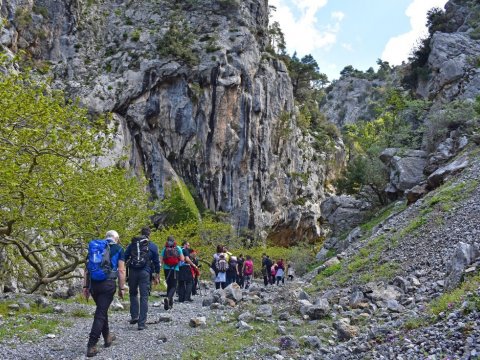 Hiking Gorge of Agali Evia