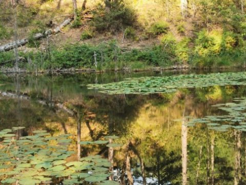 limnes-flega-valia-kalnta-hiking-drakolimbi-verliga-πεζοπορια-dragon-lake-greece.jpg10