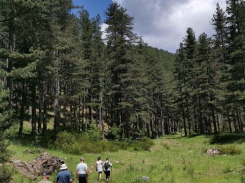 limnes-flega-valia-kalnta-hiking-drakolimbi-verliga-πεζοπορια-dragon-lake-greece.jpg8