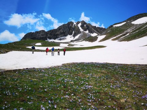 limnes-flega-valia-kalnta-hiking-drakolimbi-verliga-πεζοπορια-dragon-lake-greece