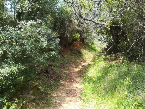 Hiking-Tyros-Path-of-Parnon-Trail-Arcadia-greece-πεζοπορια-τυρος.jpg9