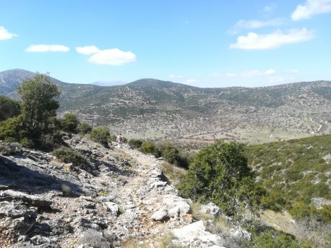 Hiking-Tyros-Path-of-Parnon-Trail-Arcadia-greece-πεζοπορια-τυρος.jpg6