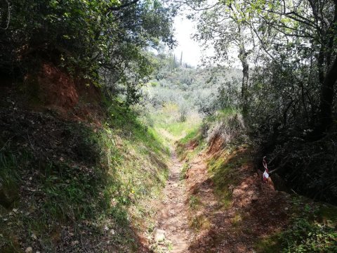Hiking-Tyros-Path-of-Parnon-Trail-Arcadia-greece-πεζοπορια-τυρος.jpg5