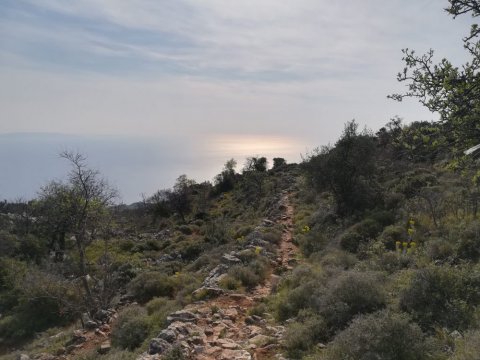 Hiking-Tyros-Path-of-Parnon-Trail-Arcadia-greece-πεζοπορια-τυρος.jpg3