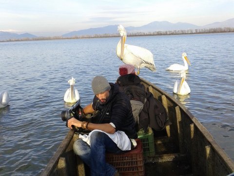 Βαρκάδα-λίμνη-Κερκίνη-Boat-Ride-Lake-Kerkini-greece.jpg2