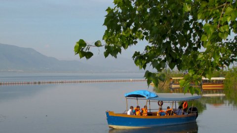 Boat ride on the lake Kerkini