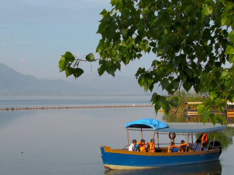 Βαρκάδα-λίμνη-Κερκίνη-Boat-Ride-Lake-Kerkini-greece.jpg6 (2)