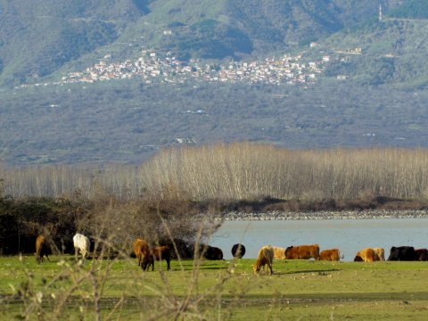 kerkini-lake-cycling-tour-mountain-bike-greece-ποδηλατα-ποδηλασια (2)