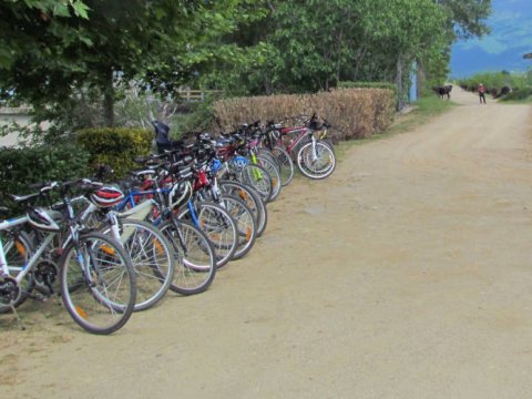 kerkini-lake-cycling-tour-mountain-bike-greece-ποδηλατα-ποδηλασια.jpg2
