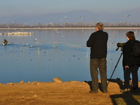 kerkini-lake Birds-Landscape-Photography-Boat-greece.jpg8