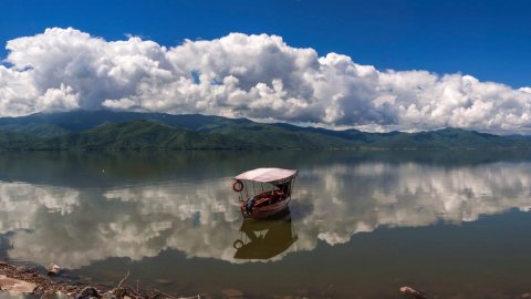 Birds and Landscape Photography with Boat