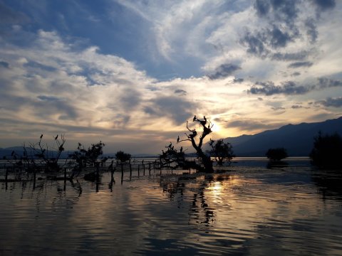 kerkini-lake Birds-Landscape-Photography-Boat-greece