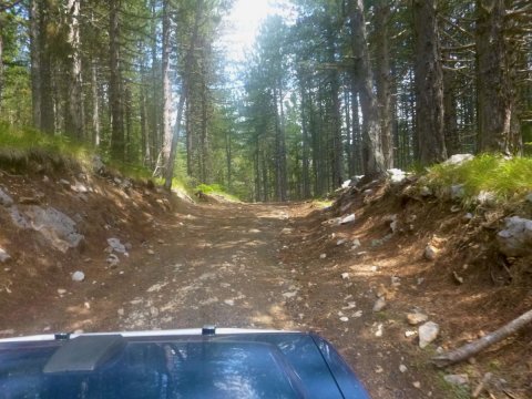 Smolikas Dragon Lake Hiking  4x4 OffRoad Safari (8)