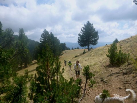 Smolikas Dragon Lake Hiking  4x4 OffRoad Safari (10)