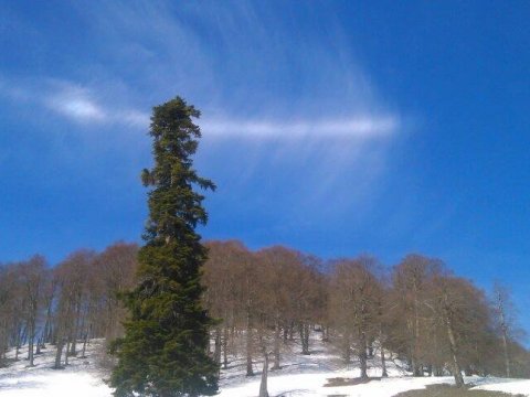 ski-touring-mountaineering-smolikas-greece-ορειβατικο (11)