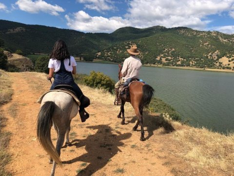 horse0riding-florina-nymfaio-sklithro-greece-ιππασια-αλογα (4)