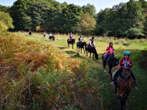 horse0riding-florina-nymfaio-sklithro-greece-ιππασια-αλογα (8)