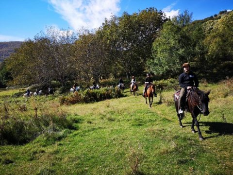 horse0riding-florina-nymfaio-sklithro-greece-ιππασια-αλογα (6)