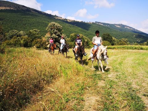 horse0riding-florina-nymfaio-sklithro-greece-ιππασια-αλογα (3)