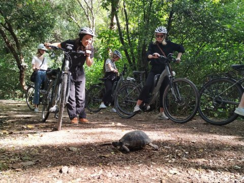 e-bike-tour-athens-greece-cycling (8)