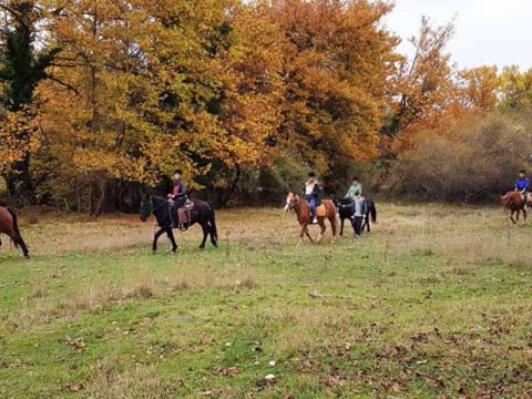 ιππασια-αλογα-horse-riding-elati-arkadia-mainalo (7)