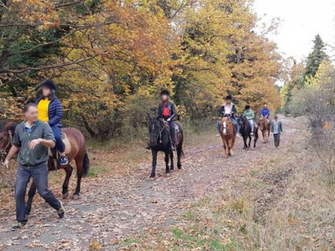 ιππασια-αλογα-horse-riding-elati-arkadia-mainalo (8)