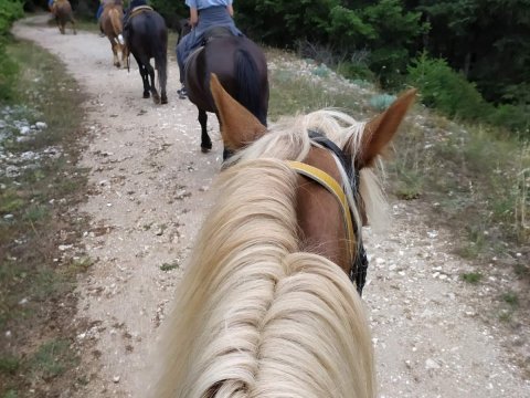 ιππασια-αλογα-horse-riding-elati-arkadia-mainalo (11)