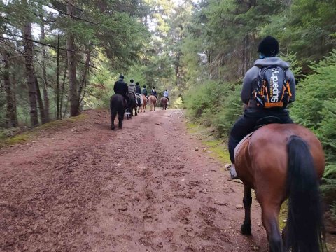 ιππασια-αλογα-horse-riding-elati-arkadia-mainalo (10)