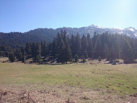 atv-gourounes-pertouli-greece (6)