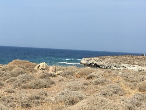 Petrified-Forest-Lesvos-Safari-4x4-Off-Road-greece (10)