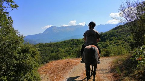 Horse Riding Tzoumerka, Arachthos