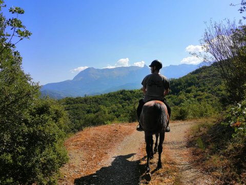 horse-riding-βολτα-αλογα-τζουμερκα-αραχθος (4)