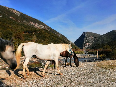 horse-riding-βολτα-αλογα-τζουμερκα-αραχθος (12)