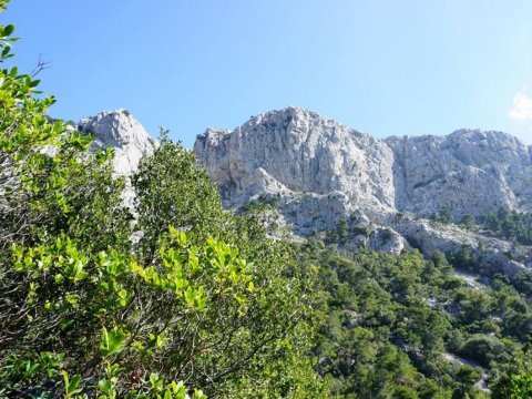 hiking-parnitha-πεζοπορια-παρνηθα-greece (1)