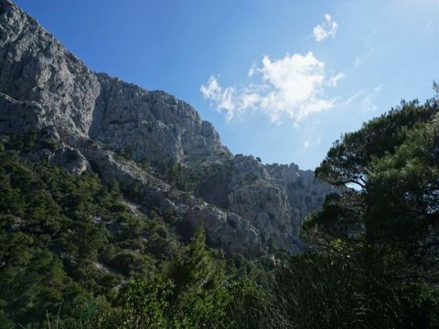 hiking-parnitha-πεζοπορια-παρνηθα-greece (3)