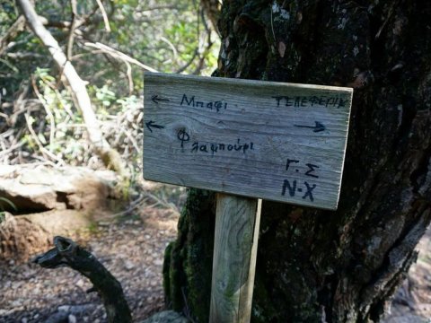 hiking-parnitha-πεζοπορια-παρνηθα-greece (4)