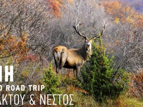 rodopi-φωτογραφικο-οδοιπορικο